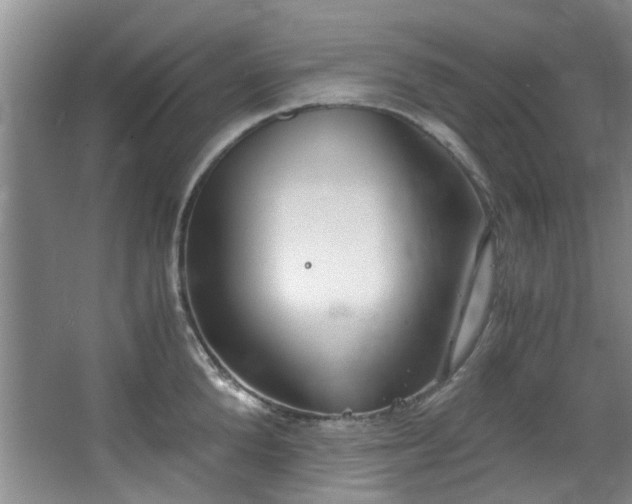 X0000068310904200604241400