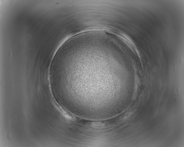 X0000068310907200604241400