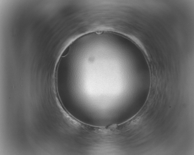 X0000068310911200604241400