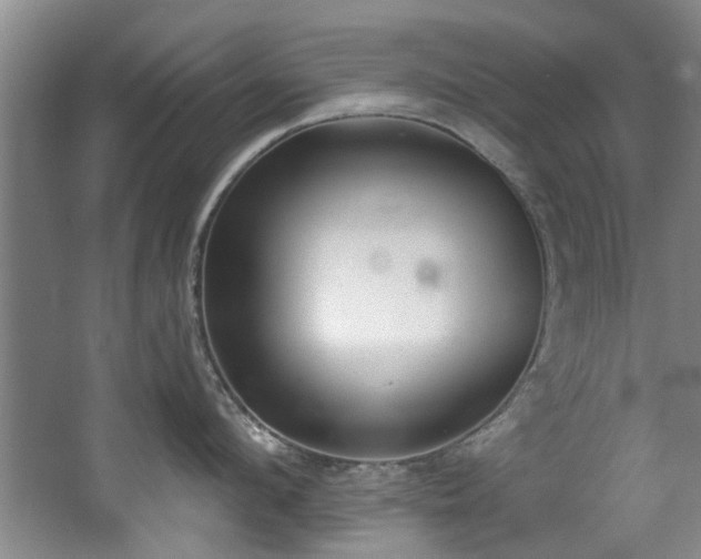 X0000068310912200604241400