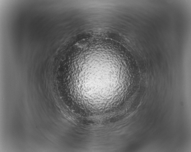 X0000068310913200604241359