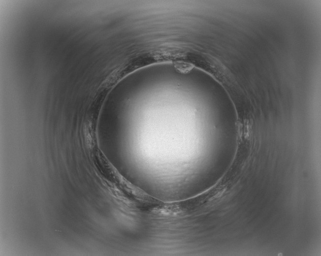 X0000068310915200604241359