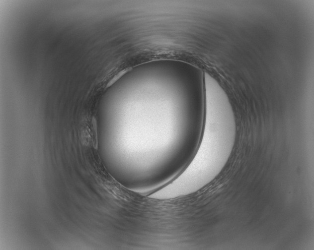 X0000068310916200604241359