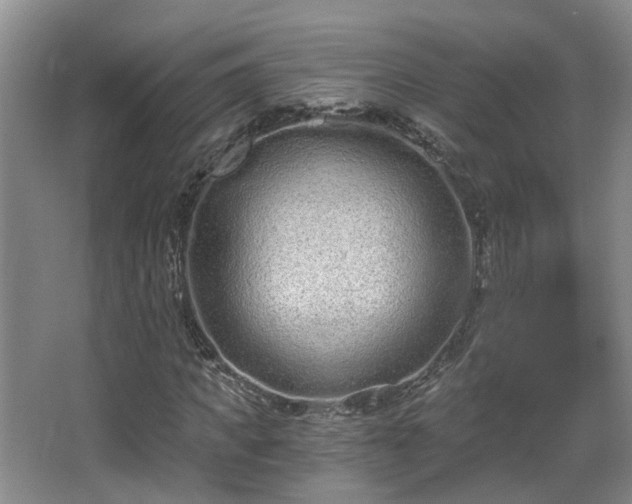 X0000068310917200604241359