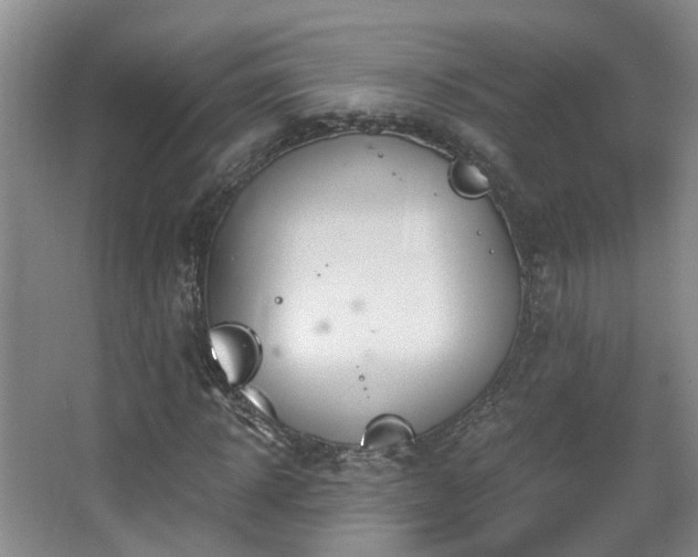 X0000068310918200604241359