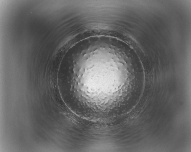 X0000068310919200604241359