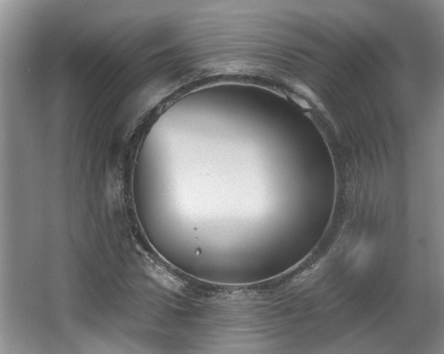 X0000068310922200604241359