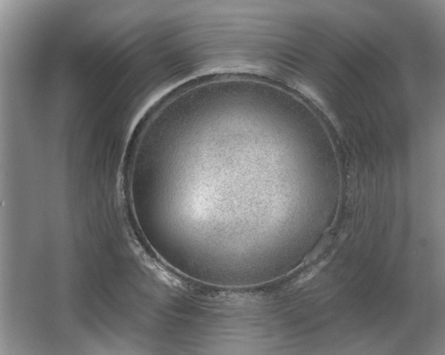 X0000068310928200604241359