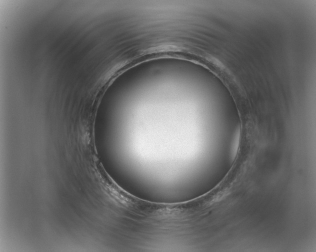 X0000068310929200604241359