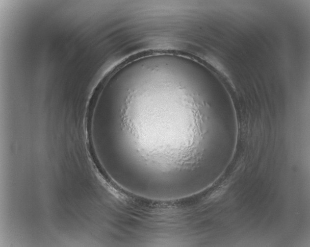 X0000068310935200604241359