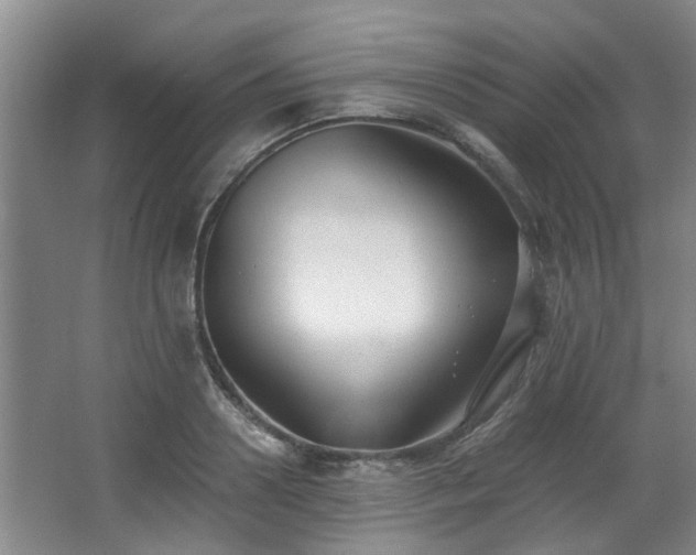 X0000068310938200604241359