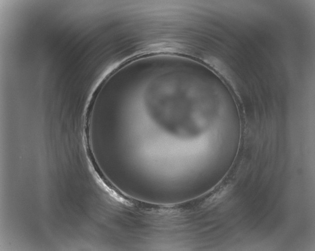 X0000068310941200604241359