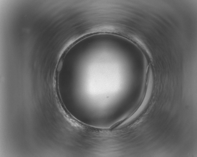 X0000068310944200604241359