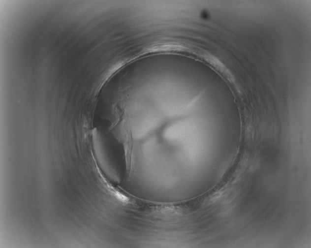 X0000068310945200604241359