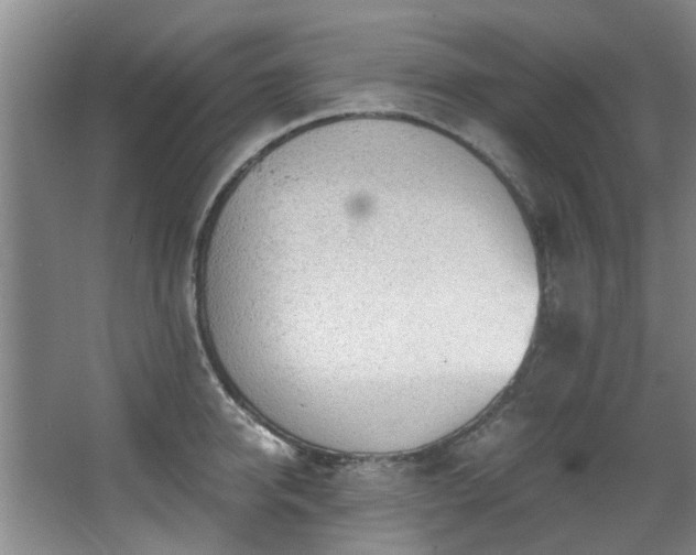 X0000068310950200604241359