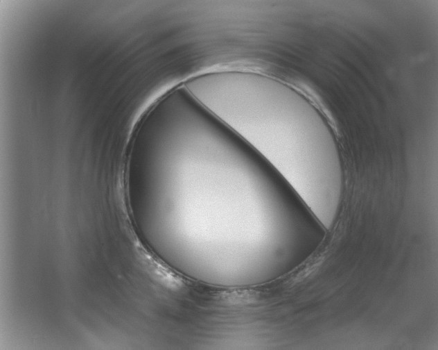 X0000068310952200604241359