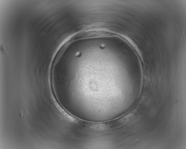 X0000068310957200604241400