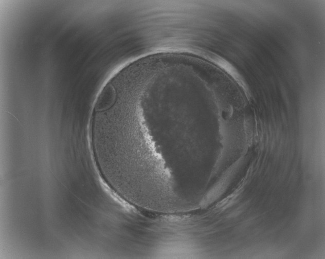 X0000068310958200604241400