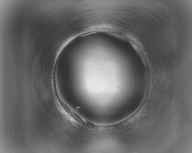 X0000068310960200604241400