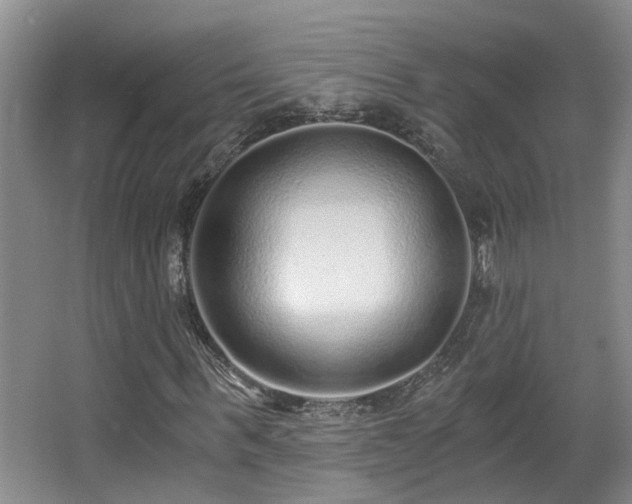 X0000068310963200604241359