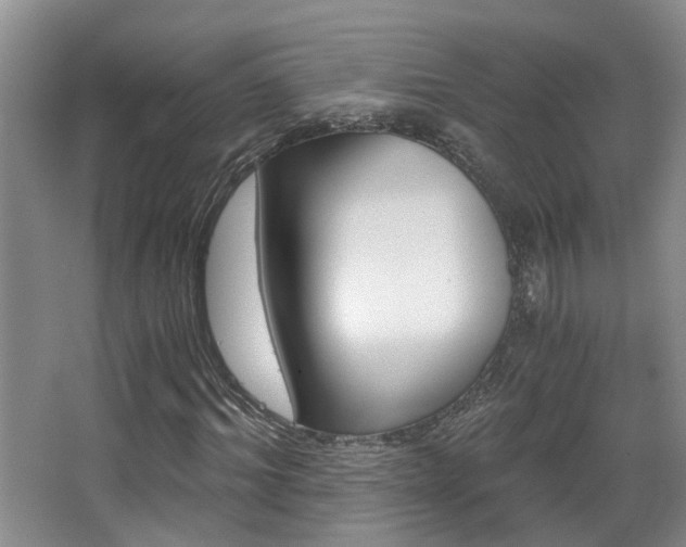 X0000068310964200604241359