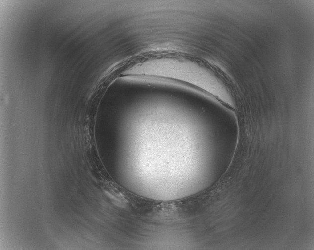 X0000068310968200604241359