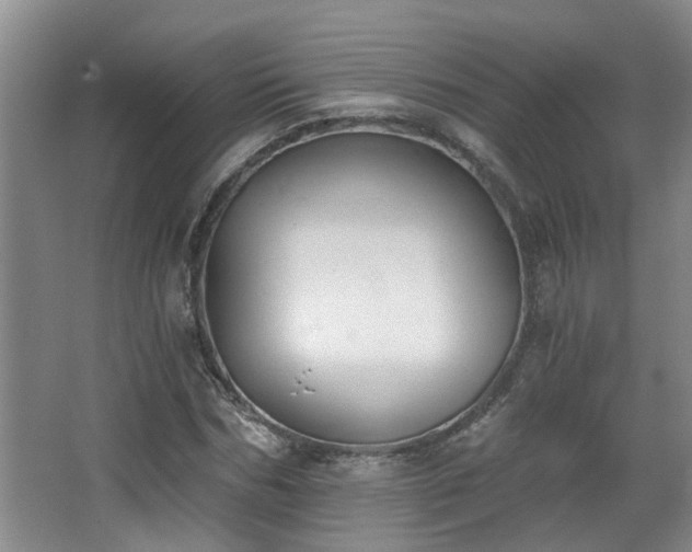 X0000068310970200604241359