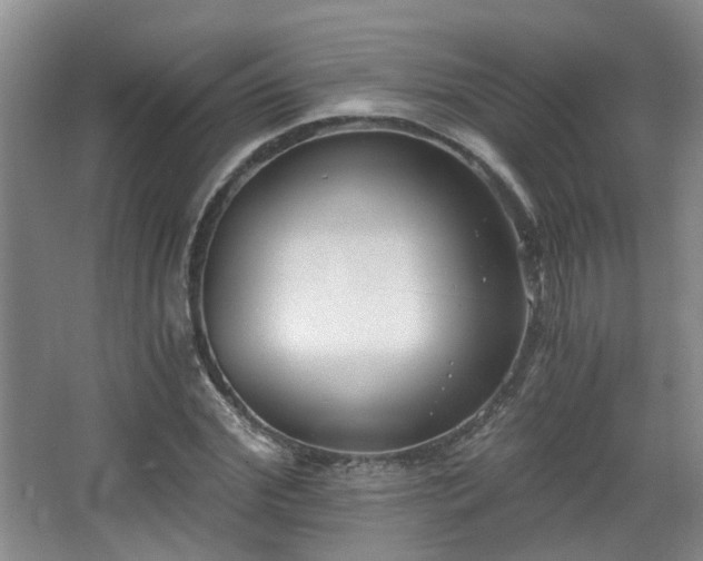 X0000068310972200604241359