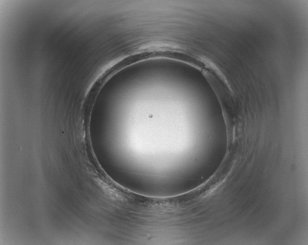 X0000068310973200604241359