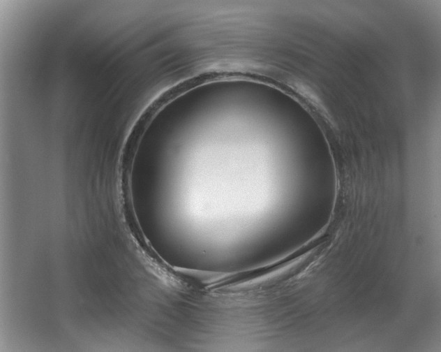 X0000068310976200604241359