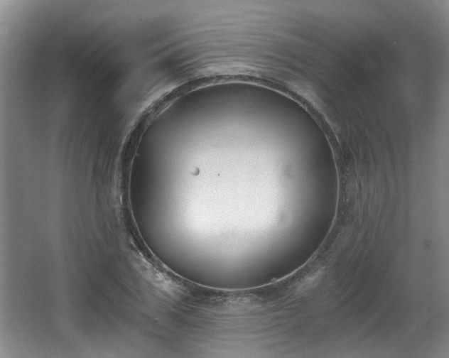 X0000068310979200604241358