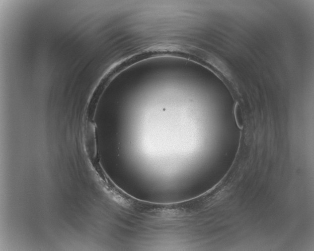 X0000068310984200604241358