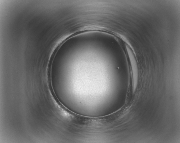 X0000068310995200604241358