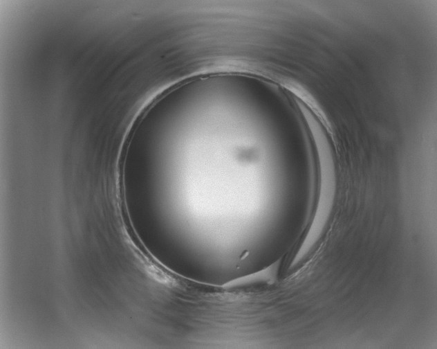 X0000068310996200604241358