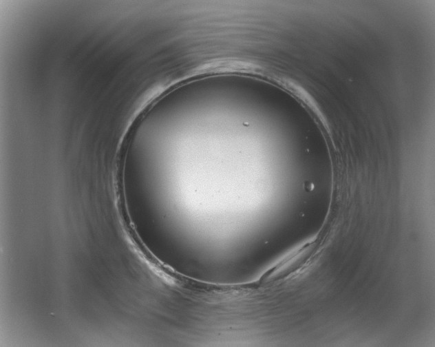 X0000068310997200604241358