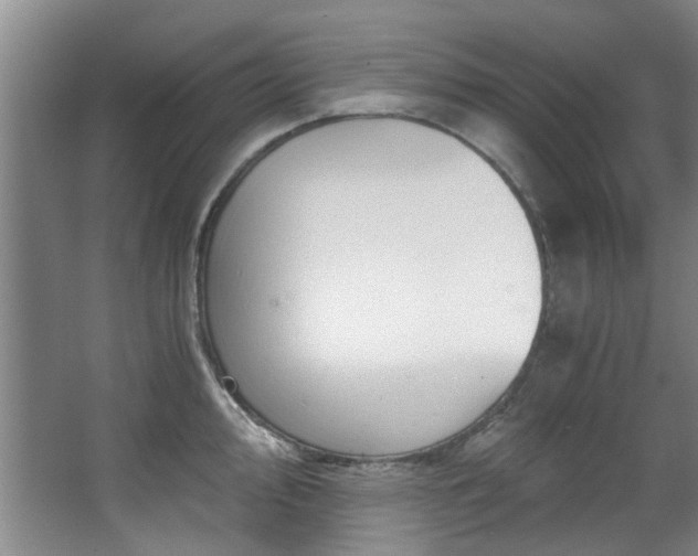 X0000068311000200604241358