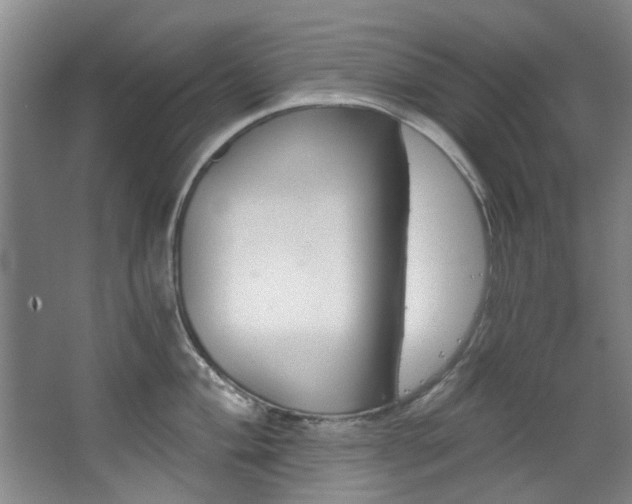 X0000068311004200604241358