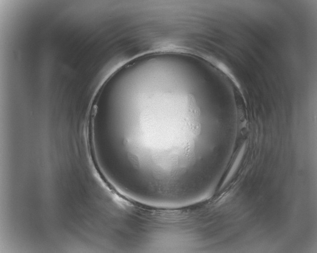 X0000068311007200604241358