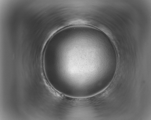 X0000068311008200604241358