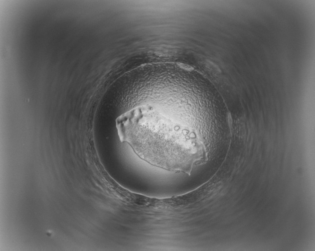 X0000068311009200604241357