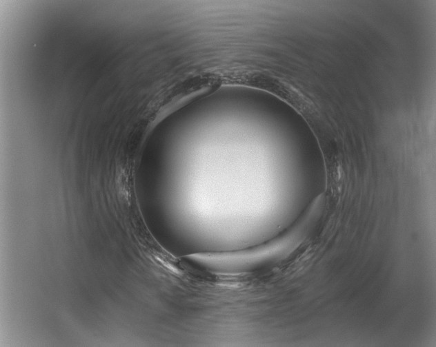 X0000068311010200604241357