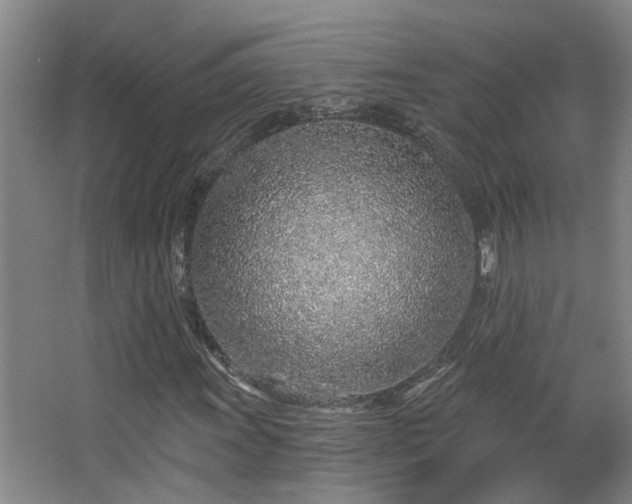 X0000068311011200604241357