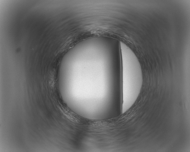 X0000068311012200604241357