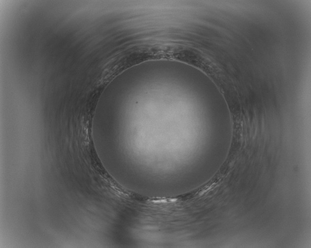 X0000068311013200604241357