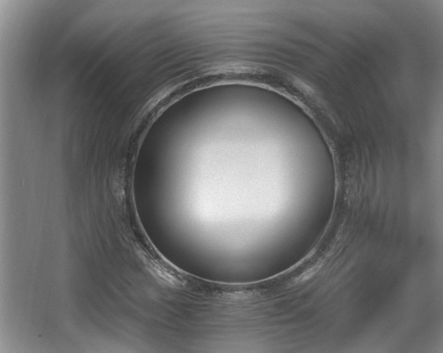 X0000068311017200604241357