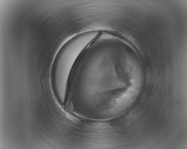 X0000068311024200604241357