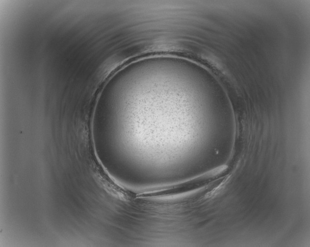 X0000068311025200604241357