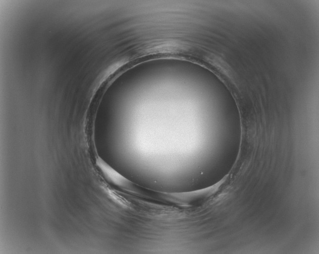 X0000068311026200604241357