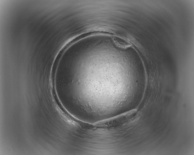 X0000068311028200604241357