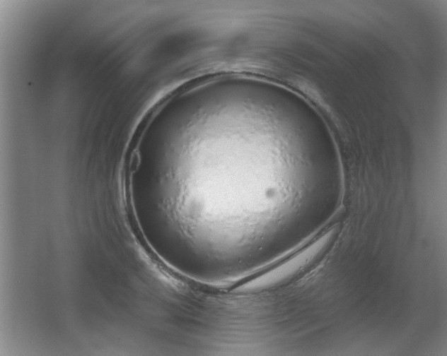 X0000068311032200604241358